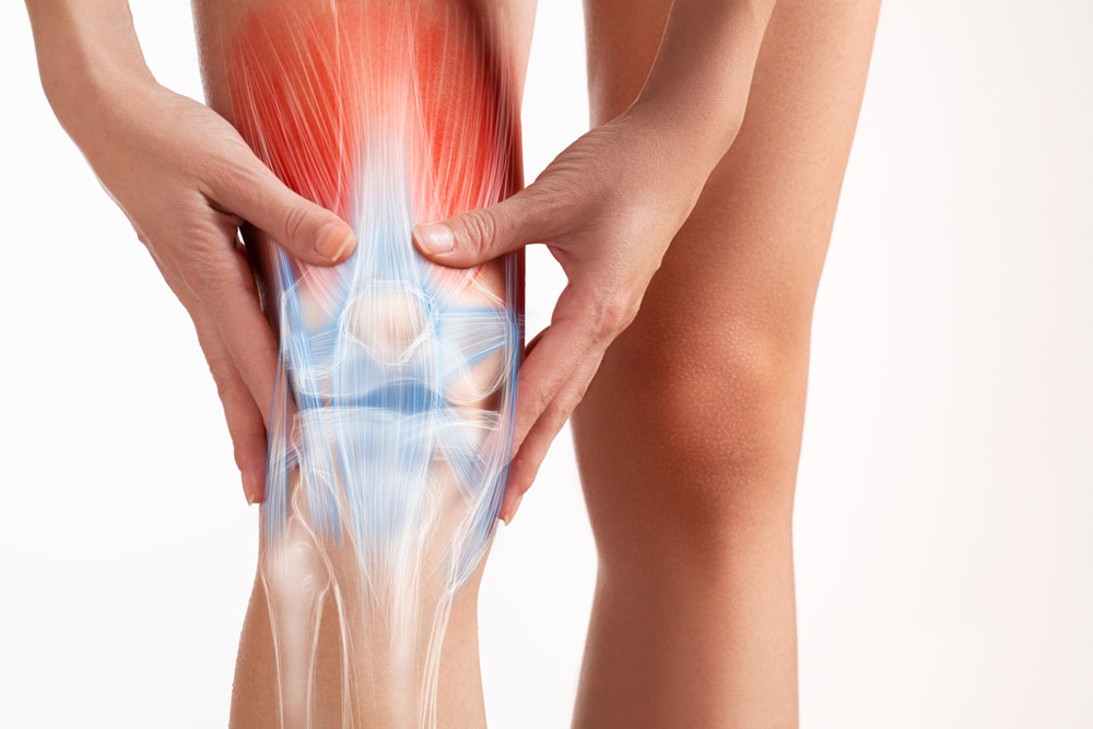 Webinar - Knie Artrose