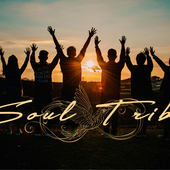 Soul tribe: Consciou...