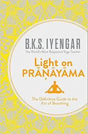 boek Light on pranaya...
