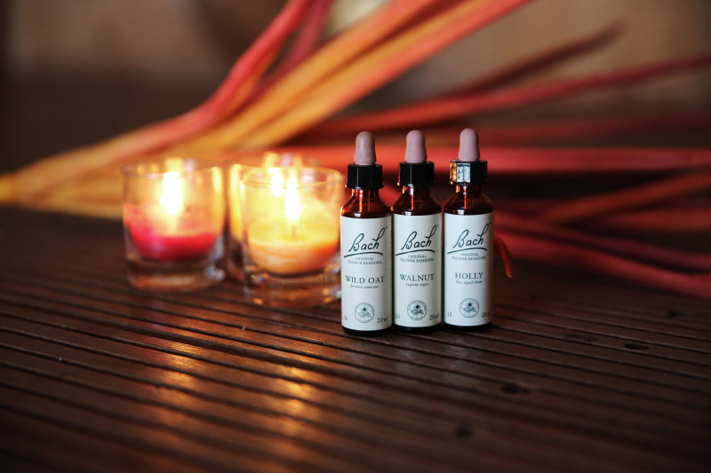 Voel je Levenskracht met Bachbloesems