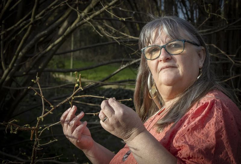 Seminar - Fytotherapie - maag en darmen en bewegingsapparaat